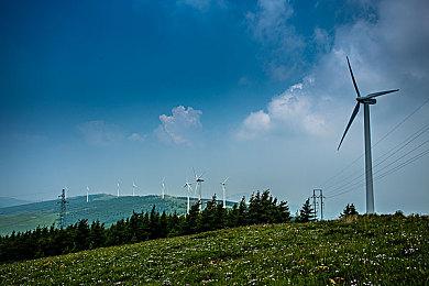 为庆祝伊布日 《宝可梦 Sleep》推出“伊布周”活动